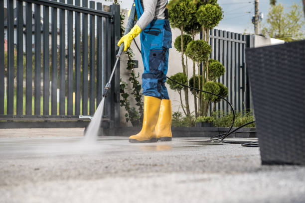 Best Local Pressure Washing Services  in Verona, MS