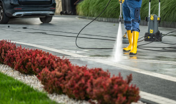 Best Residential Pressure Washing Services  in Verona, MS